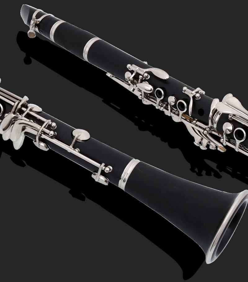 HOGSN clarinet in B flat，beginner's performance, professional playing instrument with box, cleaning kit. - Image 4